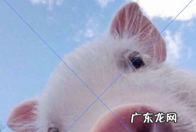 cs6如何接片,dw中给表格添加背景