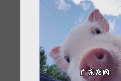 cs6如何接片,dw中给表格添加背景