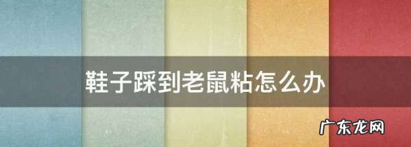 鞋子踩到老鼠粘怎么办,鞋子上粘到粘老鼠的胶怎么弄下去