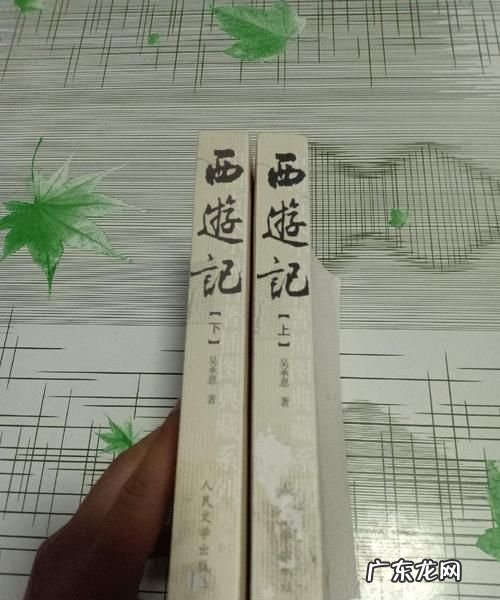 西游记这本书一共有几页,西游记多少页