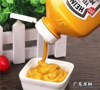黄芥末酱什么味道,鸭屎芥末酱是什么做的