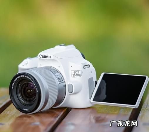 单反的照片需要处理,单反拍了照必须修图