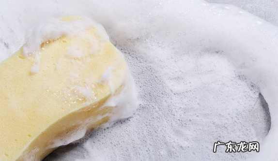 蟑螂咬人蟑螂怎么消灭最彻底,如何处理蟑螂卵