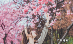如何拍摄樱花照片,人在樱花下照片怎么拍好看