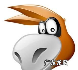 ed是什么 你们知道,ed是什么意思