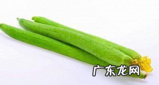 丝瓜能放冰箱保鲜,丝瓜可以放在冰箱里面保鲜