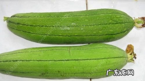 丝瓜能放冰箱保鲜,丝瓜可以放在冰箱里面保鲜
