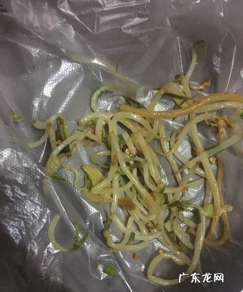 变绿的豆芽还能吃,绿豆芽冒绿芽尖了还能吃么
