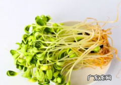 变绿的豆芽还能吃,绿豆芽冒绿芽尖了还能吃么
