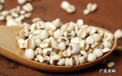 薏米要泡多久才能煮,薏米泡多久可以煮水喝