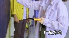 规则教育的格言,教育的格言