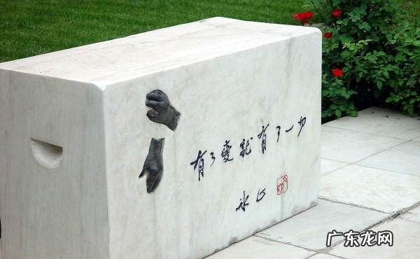 冰心诗集经典名句,冰心的经典语句摘抄