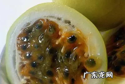 百香果怎么吃,百香果怎么吃