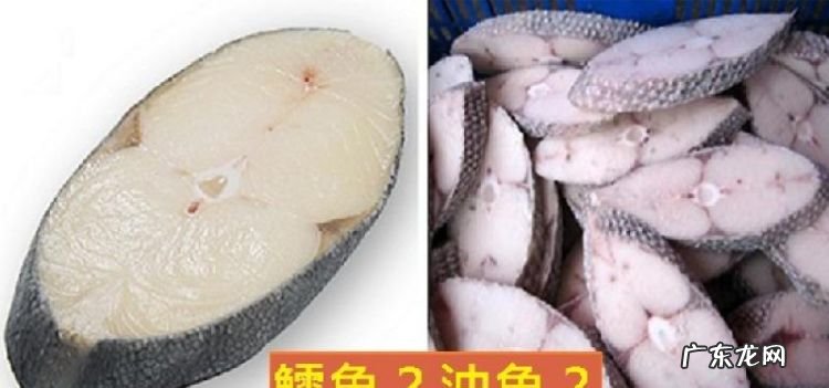 油鱼和鳕鱼的区别,鳕鱼和油鱼怎样分辨出来