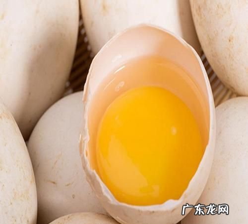 一天一个鹅蛋过量,鹅蛋可以一天一个