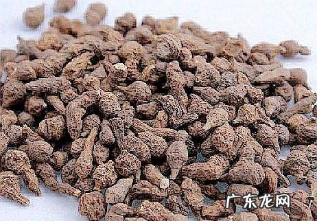甘肃蕨麻怎么吃,蕨麻的正确吃法和禁忌炖羊肉骨头汤可以放蕨麻