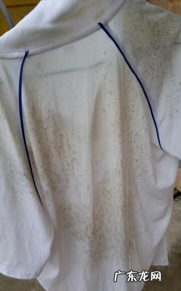 漂白水没稀释衣服黄了怎么办,漂白水把白色衣服泡黄了怎么办
