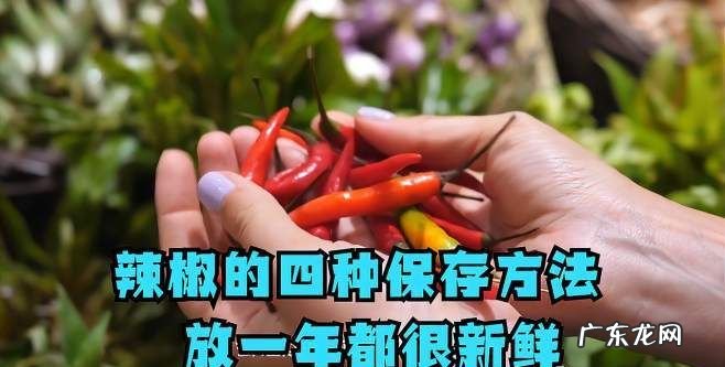 辣椒放冰箱还是放外面,辣椒放冰箱还是放外面保存时间久