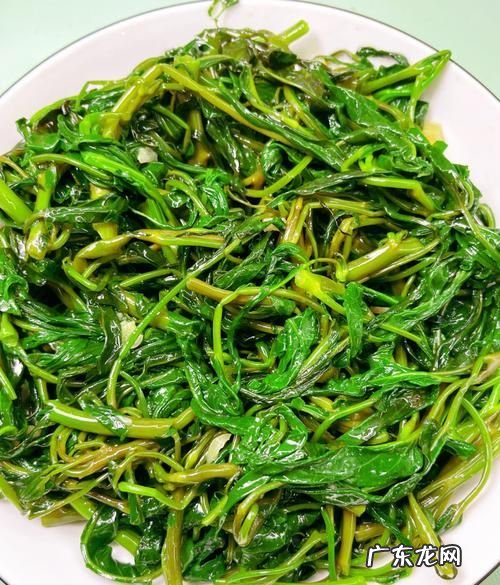 空心菜的做法,做空心菜有哪些做法