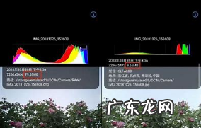 raw是什么文件,raw格式是什么意思