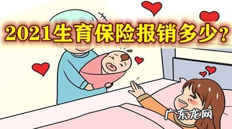 生育险怎么报销,生育险怎么报销