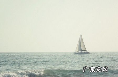 不进则退的上一句,不进则退的上一句
