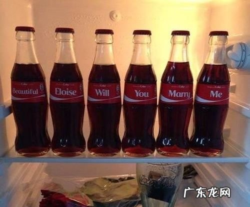 可乐一般能放冰箱冷冻吗?,可乐能冰冻