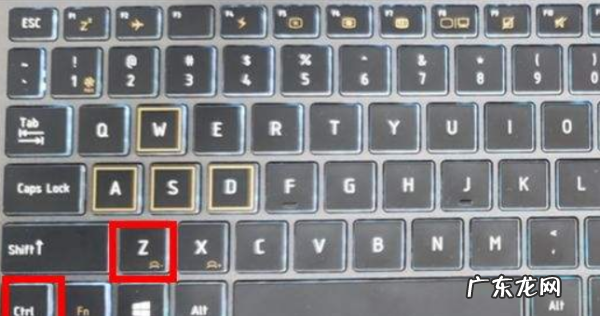 ctrl加z键是什么意思,CTrl是什么意思