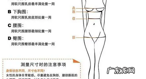衣服胸围怎么量,正确的量衣服胸围方法