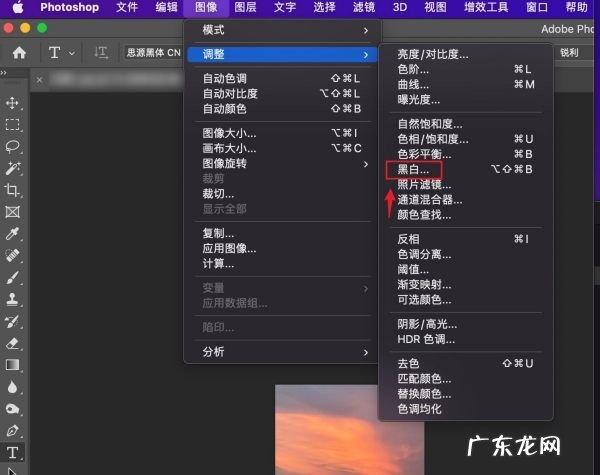 怎么把照片弄成黑白,怎么把照片调成黑白的颜色