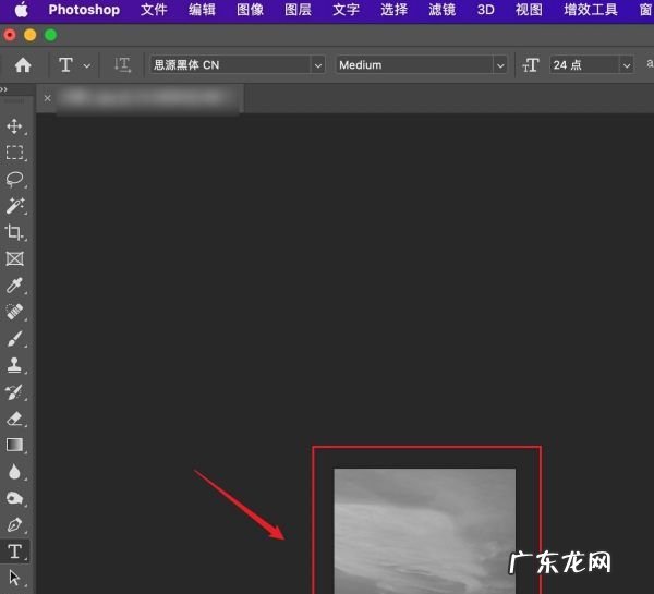 怎么把照片弄成黑白,怎么把照片调成黑白的颜色