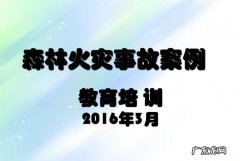 森林火灾事故处理标准,森林火灾刑事立案标准最新