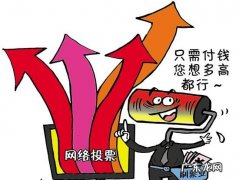 刷票是什么意思,代刷票是什么意思