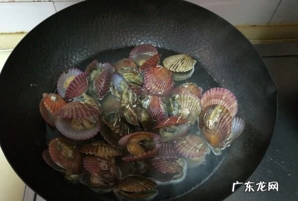 扇贝最简单的做法,扇贝怎么做好吃又简单