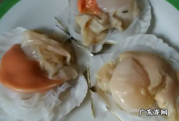 扇贝最简单的做法,扇贝怎么做好吃又简单