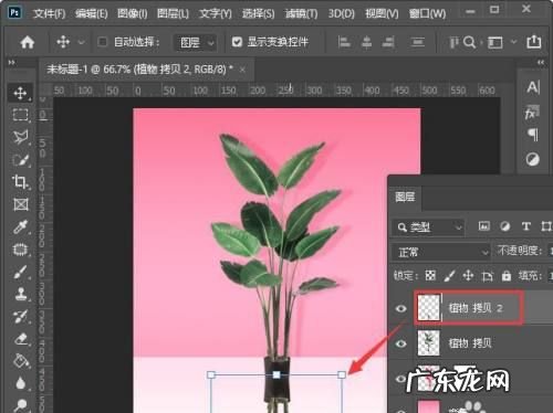 ps如何做树的阴影,ps怎样做树的阴影
