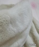 白貂上染色了怎么清洗,白色貂毛毛衣染色了怎么办