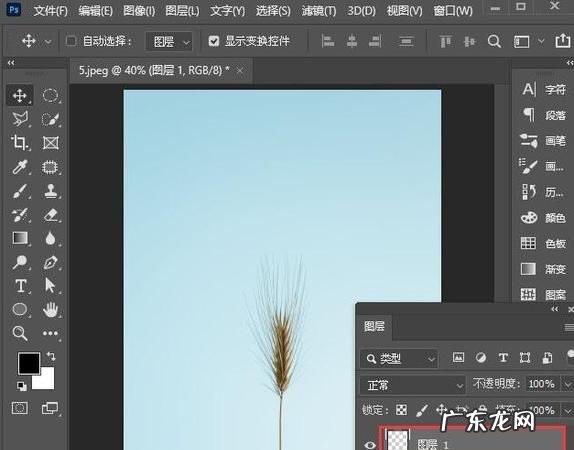 ps如何淡化背景,在photoshop中将前景色和背景色恢复为