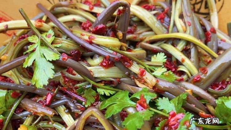 蕨菜怎么做好吃,蕨菜的食用方法