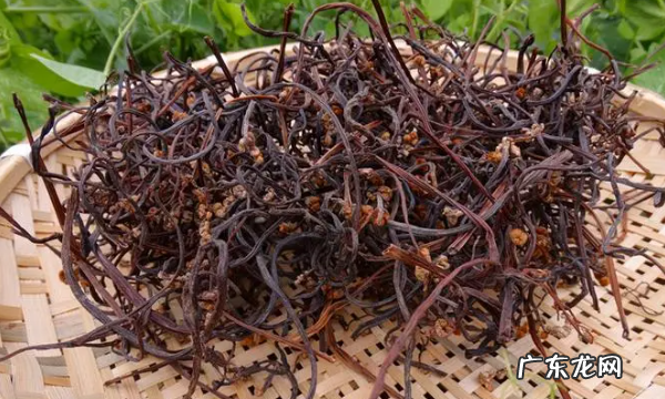 蕨菜怎么做好吃,蕨菜的食用方法