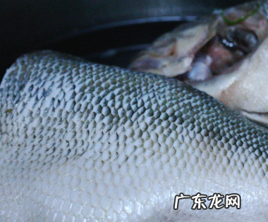 清蒸鲈鱼的做法 最正宗的做法,正宗清蒸鲈鱼的做法和步骤窍门