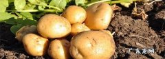土豆追肥用什么肥料好,种植土豆用什么肥料最好