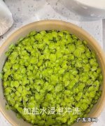榆钱怎么做好吃,榆钱的吃法大全对人有什么好处