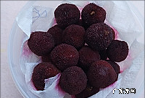 杨梅酒可以冰镇喝,杨梅酒泡多久可以喝最好