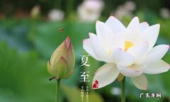 夏至十八天是什么意思,夏至十八天是什么意思