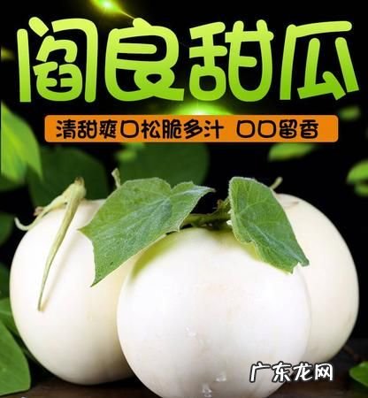 白兰瓜是水果还是蔬菜,水果系列游戏名字