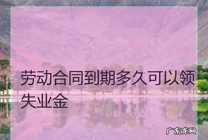 个人终止劳动合同可以领失业金吗?,个人解除劳动合同能领到失业金