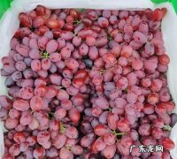 葡萄可以寄快递,那个快递能寄天晴葡萄
