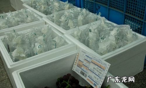 葡萄可以寄快递,那个快递能寄天晴葡萄