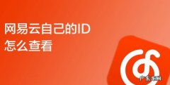 网易云自己id在哪里看,怎么看网易云音乐账号几个地方登录